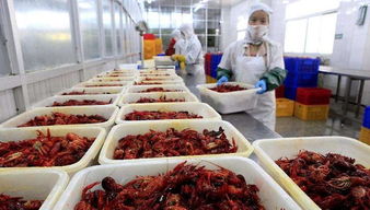 清华大学生毕业卖小龙虾,没有餐厅与厨师,月销270万