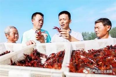 需求旺 养殖热 小龙虾“长”得快_搜狐财经_搜狐网