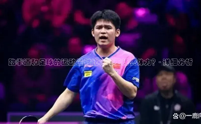 天辰平台测速登录一径科技跆拳道和足球的运动量对比：谁更耗费体力？- 详细分析