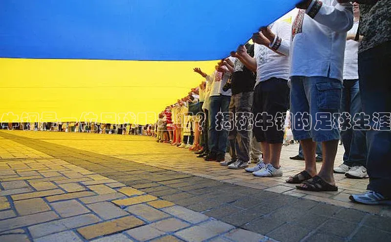 天辰平台注册官网观星盘牛钢是一位足球明星吗？揭秘牛钢的足球生涯