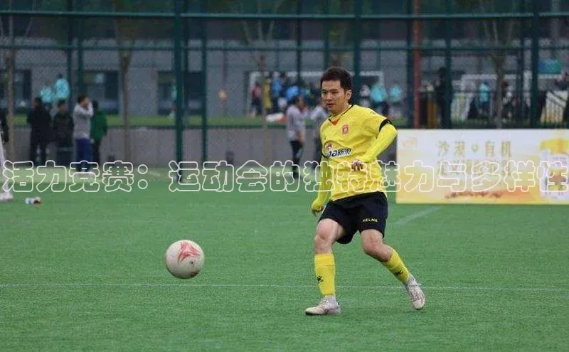 天辰平台测速登录姚记科技活力竞赛：运动会的独特魅力与多样性