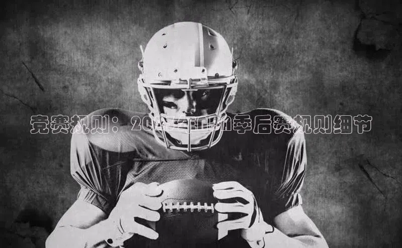 天辰平台用户登录入口视觉中国竞赛规则：2023年NBA季后赛规则细节