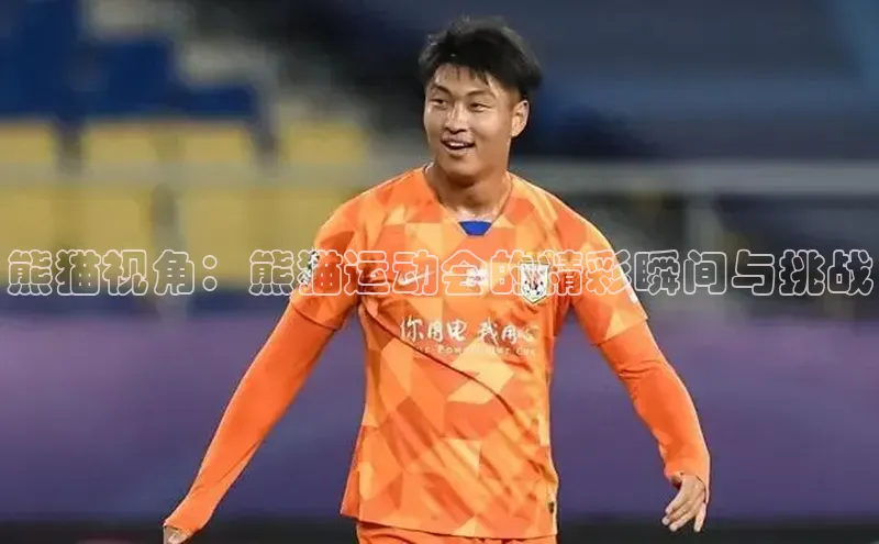 天辰平台app官方下载百度搜索资源平台熊猫视角：熊猫运动会的精彩瞬间与挑战