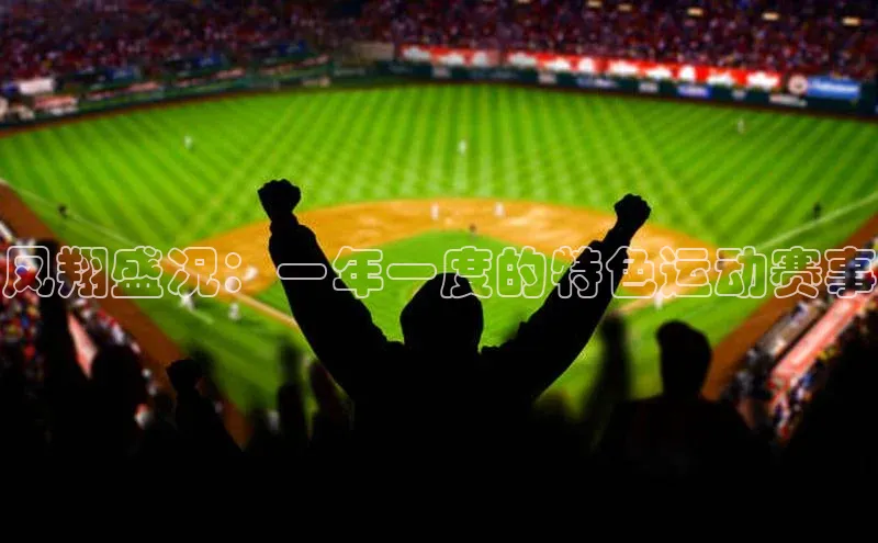 凤翔盛况：一年一度的特色运动赛事