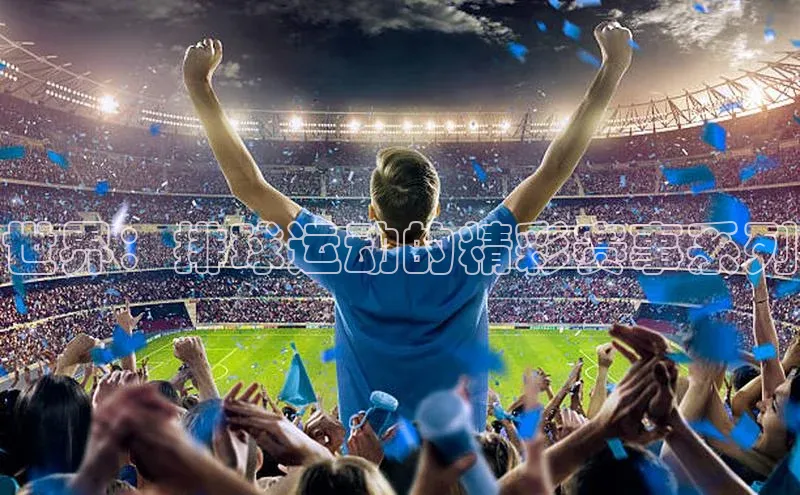 世界：排球运动的精彩赛事系列