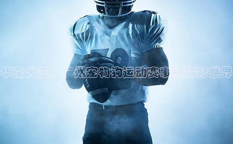 华南犬王：广州宠物狗运动赛事的精彩世界