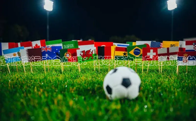 安康市运动会盛事：展现活力与团结的舞台