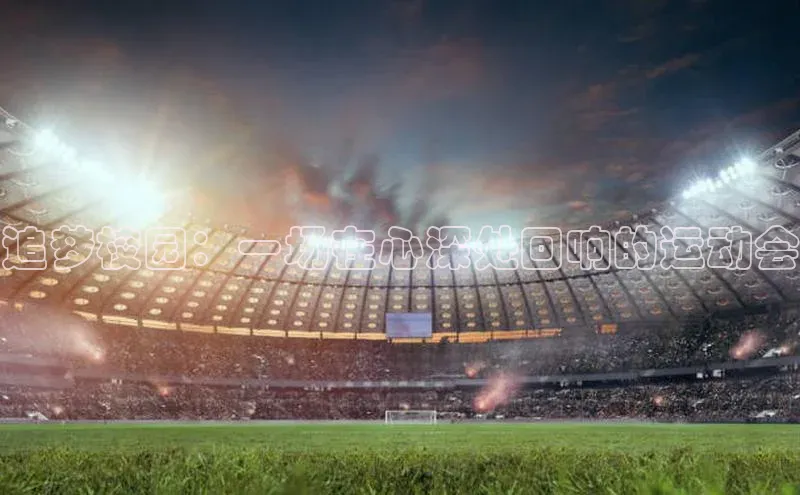 追梦校园：一场在心深处回响的运动会