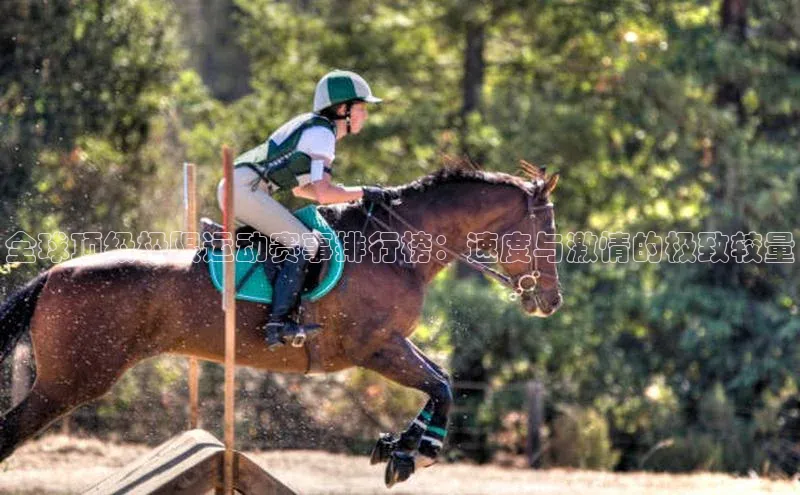 全球顶级极限运动赛事排行榜：速度与激情的极致较量