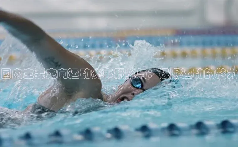 国内主要定向运动赛事概览与：极限运动的魅力