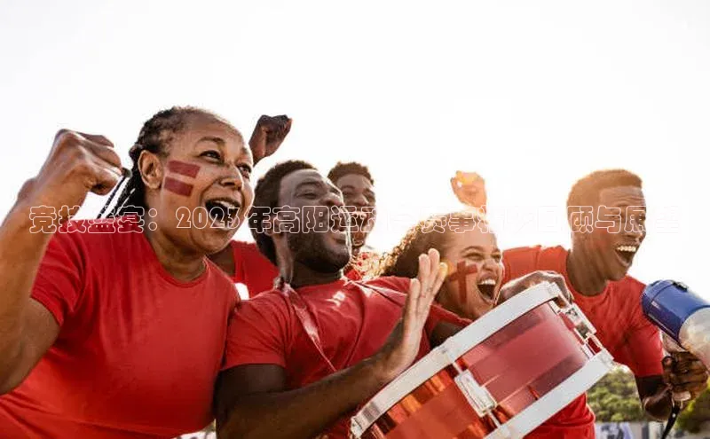 竞技盛宴：2023年高阳运动会赛事精彩回顾与展望