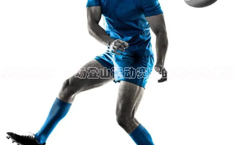 攀越巅峰：一场登山运动赛事的筹备与组织