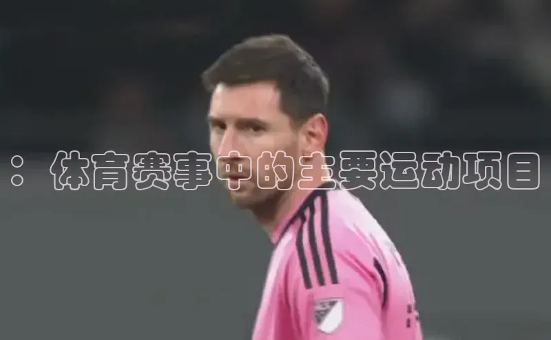 ：体育赛事中的主要运动项目