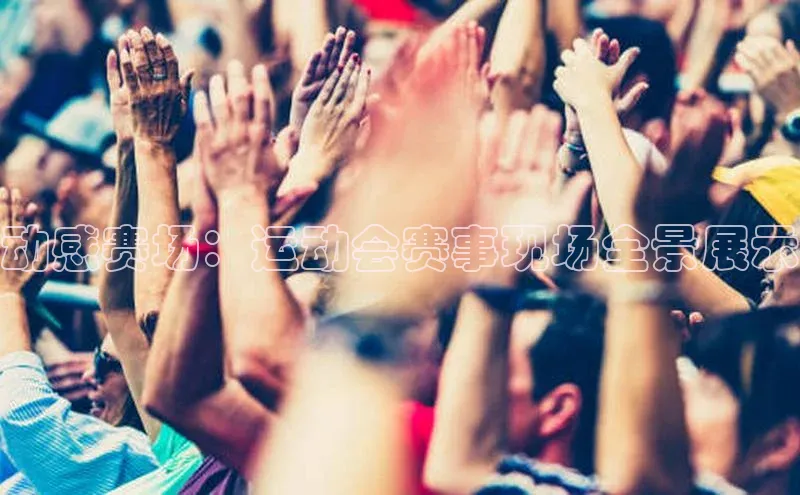 动感赛场：运动会赛事现场全景展示