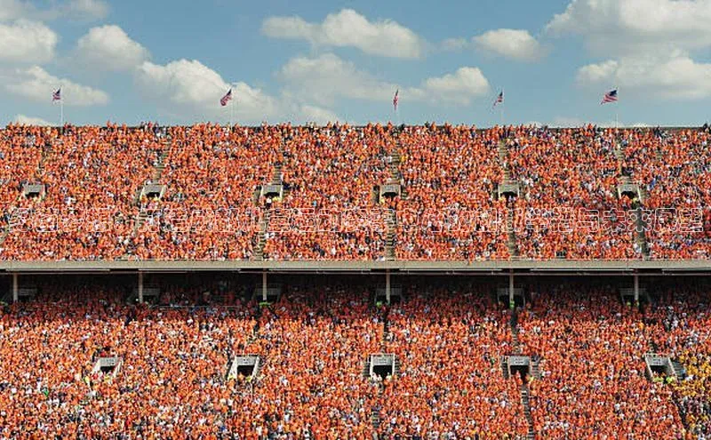 绿茵梦想：打造成都儿童运动赛事中心的创新举措与未来展望