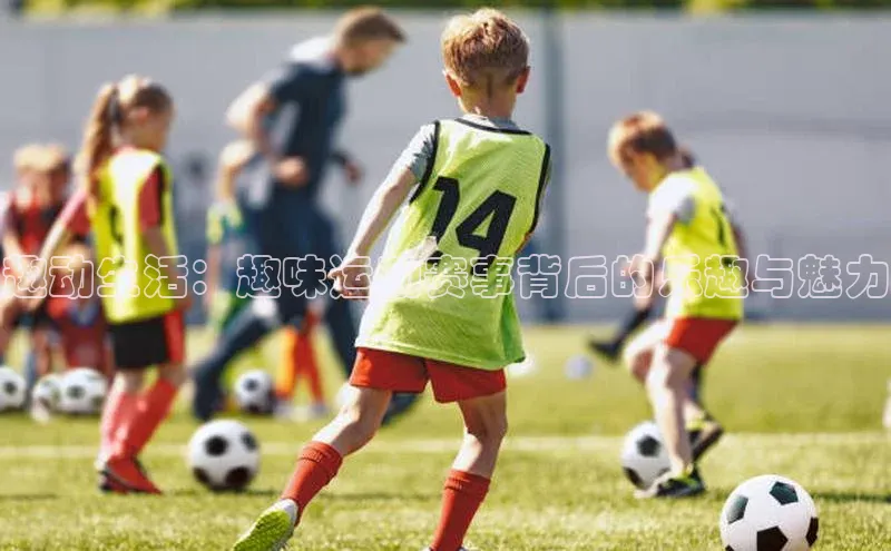 趣动生活：趣味运动赛事背后的乐趣与魅力