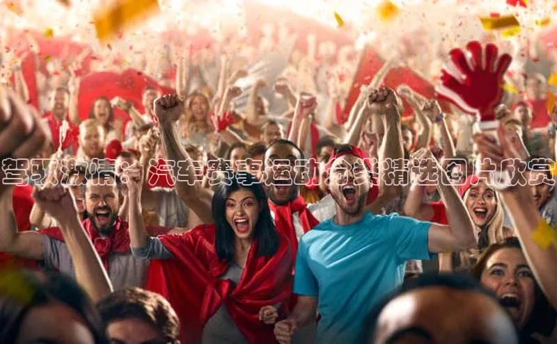 驾驭激情：汽车赛事运动分类精选图片欣赏