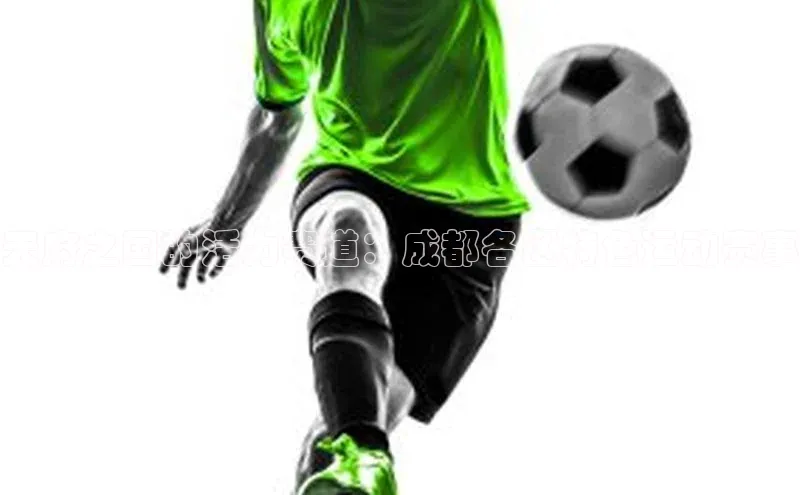 天府之国的活力赛道：成都各区特色运动赛事