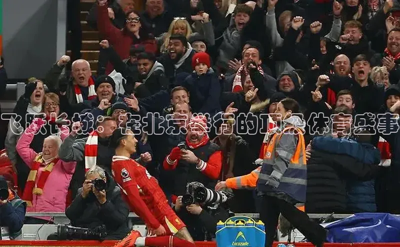 飞跃长城：在北京举行的顶级体育盛事
